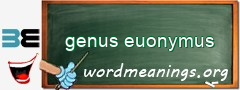 WordMeaning blackboard for genus euonymus